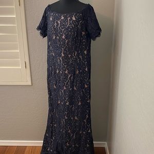 Navy Lace Boatneck Dress